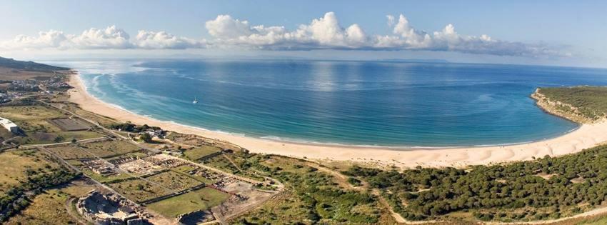 Apartamento Palo Cortao Jerez de la Frontera Dış mekan fotoğraf