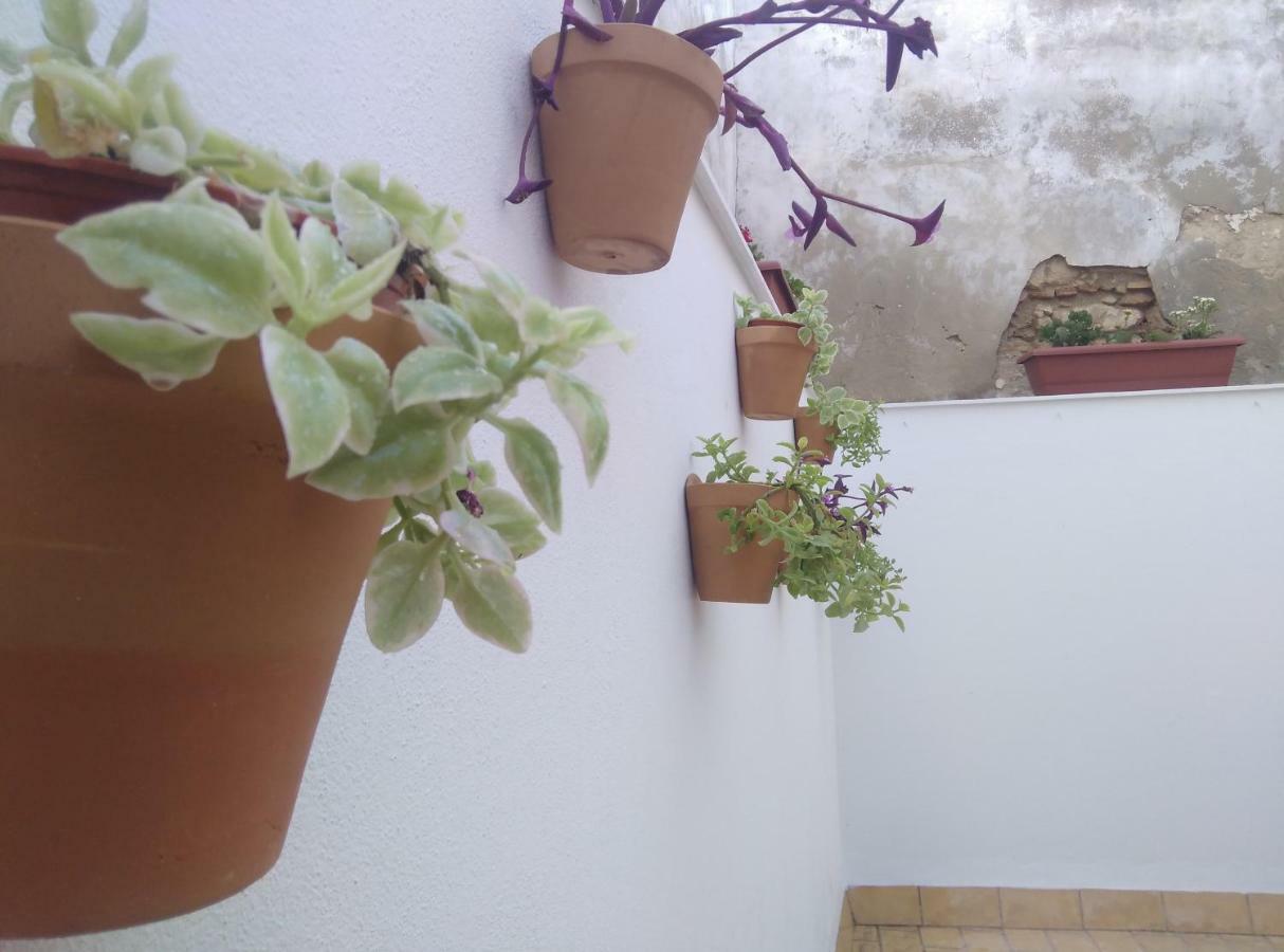 Apartamento Palo Cortao Jerez de la Frontera Dış mekan fotoğraf